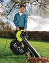 купить Воздуходувка RYOBI RBV3000CESV 5133002190 в Кишинёве 