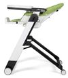 купить Стульчик для кормления Peg Perego Siesta Wonder Green в Кишинёве 