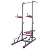 cumpără Antrenament de forţă inSPORTline 12561 Set Aparat Power Tower (120 kg) + 3 bare + discuri IN12433/20597 în Chișinău 