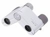 купить Бинокль Nikon 4x10 DCF White в Кишинёве 