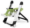 cumpără Scaun de masă Peg Perego Siesta Wonder Green în Chișinău 