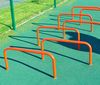 cumpără Echipament sportiv PlayPark 4501 Set cu obstacle DS-01 în Chișinău 