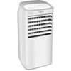 купить Охладитель и увлажнитель Aircooler Trotec PAE 40 в Кишинёве 