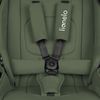 купить Детская коляска Lionelo Carucior 2in1 Mika Plus Grey Olive в Кишинёве 