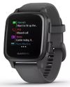 купить Смарт часы Garmin Venu Sq Slate with Gray Band в Кишинёве 