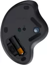 cumpără Mouse Logitech Ergo M575 Trackball în Chișinău 