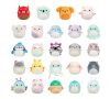 купить Мягкая игрушка Squishmallows SQMM0040 Micromallows blind plush, 6cm в Кишинёве 