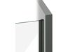 купить Перегородка для душевой кабины Ravak Shower door Cool! 100x195 Black transparent COSD2-100 (X0VVAC300Z1) в Кишинёве 