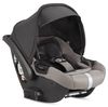 купить Детская коляска Inglesina APTICA XT Tundra Beige 4in1 в Кишинёве 