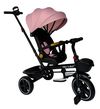 cumpără Bicicletă-cărucior Richi (95643) Tricicleta roz pentru copii (JTRX1) în Chișinău 