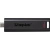 купить Флеш память USB Kingston DTMAX/256GB в Кишинёве 