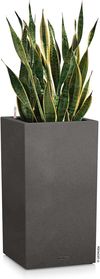 купить Цветочный горшок Lechuza Canto Stone 40 High, Graphite Black в Кишинёве 