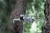 купить Дрон DJI Mini 4 PRO, RC2 (969040) в Кишинёве 