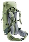 купить Туристический рюкзак Deuter Aircontact Lite 35+10 SL grove-ivy в Кишинёве 