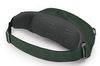 купить Поясная сумка Osprey Daylite Waist green belt/green canopy hip (843820184372) в Кишинёве 
