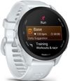 cumpără Ceas inteligent Garmin Forerunner 70, GPS, Whitestone, WW (010-04307-01) în Chișinău 