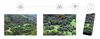 cumpără Binoclu Levenhuk Kelvin Snap ED 8x42 Digital Photobinoculars în Chișinău 