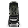 купить Детская коляска Bugaboo BG100025001 Butterfly Black/Forest Green в Кишинёве 