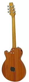 cumpără Chitară Aria Pro II APE-100 TS acoustic în Chișinău 