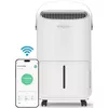 cumpără Dezumidificator de aer EvoAir NovaDry 16 Smart, 16l/24h, Senzor de Umiditate, Uscare Rufe, Crem în Chișinău 