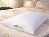 купить Домашний текстиль Somnart 025513 Set 2 perne matlasate ajustabile Somnia, microfibra alba (50x70) в Кишинёве 