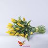 Желтые  голландские тюльпаны поштучно