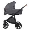 купить Детская коляска Riko Carucior 2in1 Basic Idol 04 Anthracite в Кишинёве 