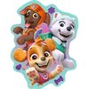 купить Пазл Trefl 20258 Wooden puzzle. Patrula catelusilor, 50el в Кишинёве 