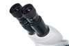cumpără Microscop Levenhuk 4ST Binocular Microscope în Chișinău 