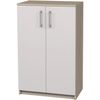 купить Офисный шкаф Tisam Тумба закрытая с двумя дверцами 702х405х1106, Бук Артизан/Светло-серый (7713) в Кишинёве 