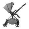 купить Детская коляска Kikka Boo Lanah Grey 2in1 (3800171204231) в Кишинёве 