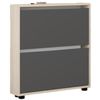 cumpără Raft pentru încălțăminte Mobildor-Lux Leo Slim 100x16x86H cm Sonoma/Anthracite în Chișinău 