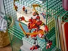cumpără Set de construcție Lego 71812 kai's Ninja Climber Mech în Chișinău 
