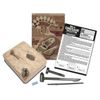 cumpără Set de creație 4M 00-03237 Brachiosaurus Skeleton în Chișinău 