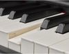 купить Цифровое пианино Yamaha P-515 B в Кишинёве 