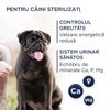 купить Корм для питомцев CLUB 4 PAWS 24230945 Premium Pachet control adulti mici 5 kg в Кишинёве 