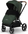 купить Детская коляска Lionelo Mika 2in1 Green Forest в Кишинёве 