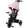 cumpără Bicicletă-cărucior Lionelo Berry Pink Rose în Chișinău 