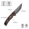 купить Нож походный Civivi C24020C-DS1 Noctis, mâner lemn Guibourtia, Crossbar Lock в Кишинёве 