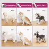 купить Товар для груминга Petkit Set Grooming 5 in 1 в Кишинёве 