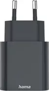 cumpără Încărcător cu fir Hama 86440 FastCharger, USB-C, PD, 20W în Chișinău 