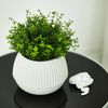 cumpără Ghiveci pentru flori Aleana 116002 Boho d14 cm, white rose în Chișinău 