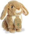 купить Мягкая игрушка Eco Nation 200765G Rabbit 20 cm в Кишинёве 