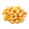 Semințe de porumb pentru floricele (Popcorn), 300g