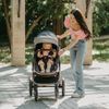 cumpără Сărucior pentru copii Coccolle Melora Moonlit Grey, 3in1 cu landou transformabil în Chișinău 