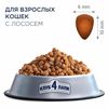 купить Корм для питомцев CLUB 4 PAWS 24230968 Sac pisici somon 14 kg в Кишинёве 
