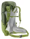 cumpără Rucsac turistic Deuter Futura 32 khaki-meadow în Chișinău 