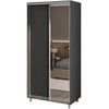 cumpără Dulap my-STYLE C10H2T06AM02-U22, 100x220, антрацит în Chișinău 