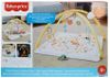 cumpără Complex de joacă pentru copii Fisher Price HRB15 Детский коврик для активного отдыха с 6 сенсорными игрушками în Chișinău 