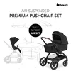 купить Детская коляска Hauck Carucior 2in1 Walk N Care Air Set Black в Кишинёве 